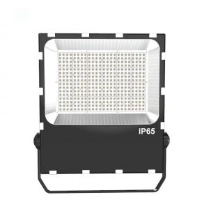 LED Flood Light